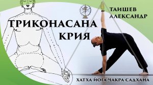 Триконасна_Крия. Практика йоги. Видеоурок. Хатха_Йога_Чакра_Садхана. Александр Таишев