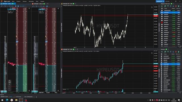 5-Hypeusdt-Long-Profit-16-06-2025-09-17-00