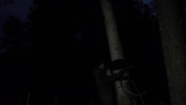 С МИНИМАЛЬНЫМ СНАРЯЖЕНИЕМ ОДИН В ТАЙГЕ | УКРЫТИЕ в ЛЕСУ, РЫСЬ с котятами, ВЫЖИВАНИЕ в дикой природе смотреть онлайн