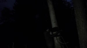 С МИНИМАЛЬНЫМ СНАРЯЖЕНИЕМ ОДИН В ТАЙГЕ | УКРЫТИЕ в ЛЕСУ, РЫСЬ с котятами, ВЫЖИВАНИЕ в дикой природе