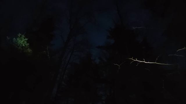 Построили ДОМ ПОД ЗЕМЛЕЙ своими РУКАМИ в ЛЕСУ - НОВАЯ СТЕНА и СТОЛ, ЛОСИ - Строительство Землянки смотреть онлайн