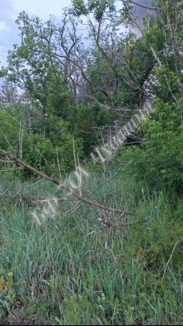 "Тачку вшатало" смотреть онлайн