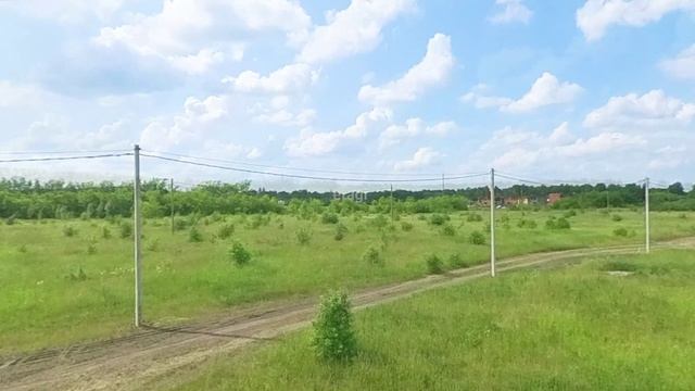 8527423 - Зеленые Алле смотреть онлайн