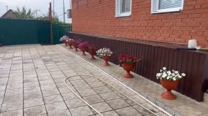 Как всегда домашние хлопоты 💕подвязали огурцы 💕