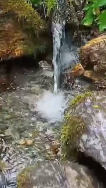 Красота Горного Алтая!💐 смотреть онлайн