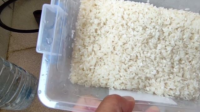 ПЛОВ - КАК ПРИГОТОВИТЬ В ОТЕЛЕ смотреть онлайн