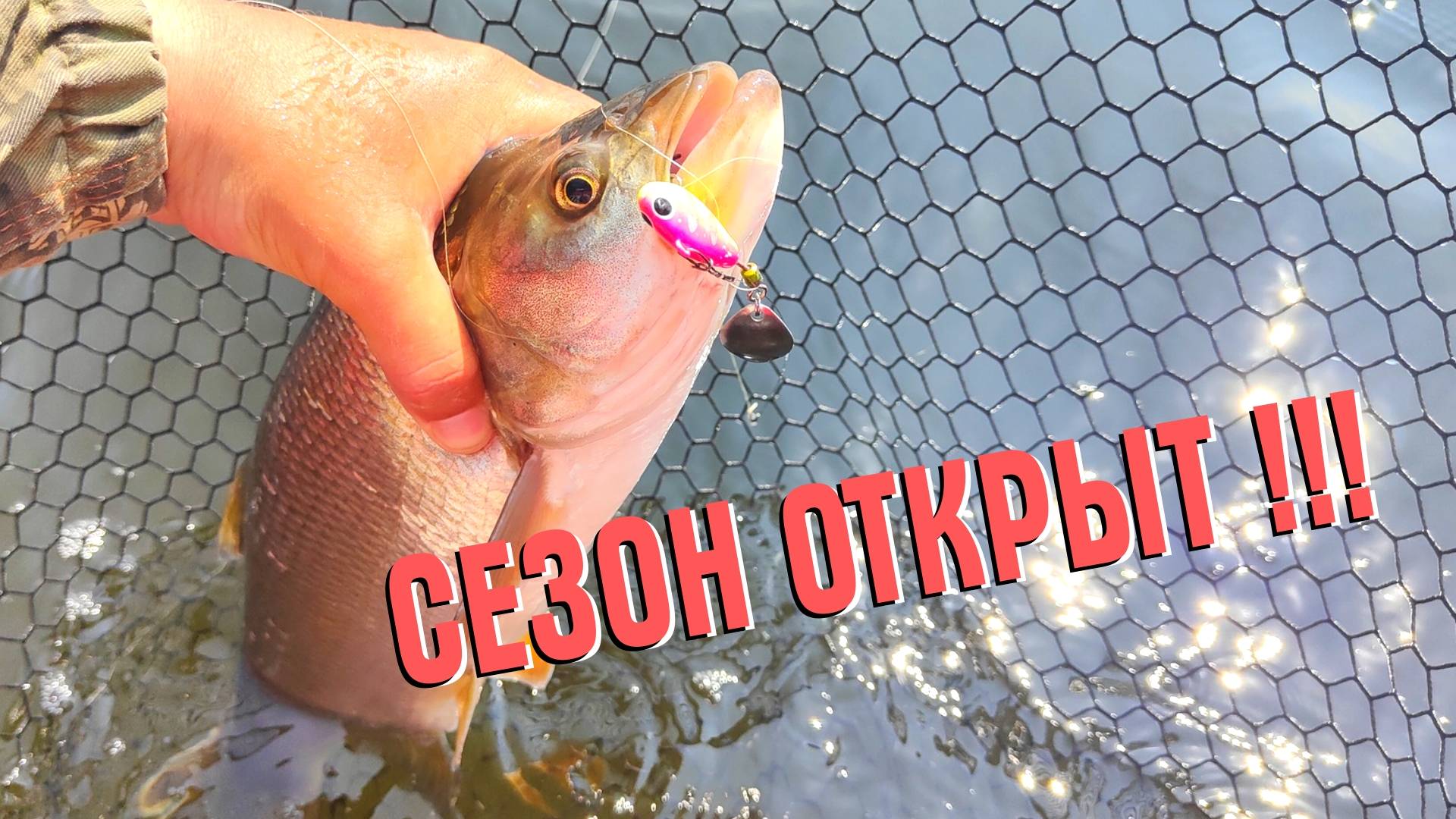 ЩУКА В ШОКЕ, СУДАК В РАСТЕРЯННОСТИ, А ЖЕРЕХ ПРОСТО РАД — СЕЗОН ОТКРЫТ! смотреть онлайн