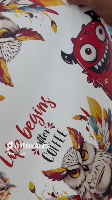 Как печатаются принты на футболках_ DTF-печать в типографии «Процвет» #dtf #dtfprinting #dtfprinter