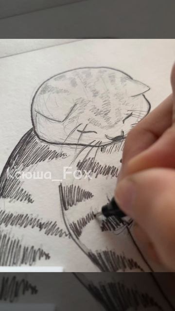 Рисую котика ⬛ #art #идея #drawing #графика #рисунок #music смотреть онлайн