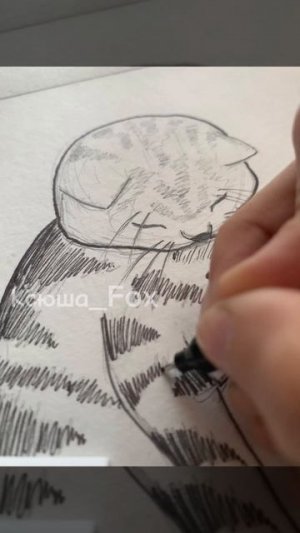 Рисую котика ⬛ #art #идея #drawing #графика #рисунок #music