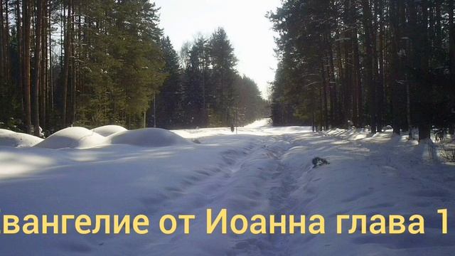 Библия Евангелие от Иоанна глава 12 смотреть онлайн