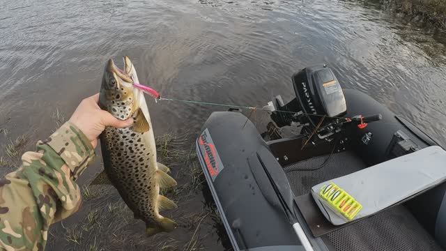 2025! Первый выезд! кумжа щука и хариус!