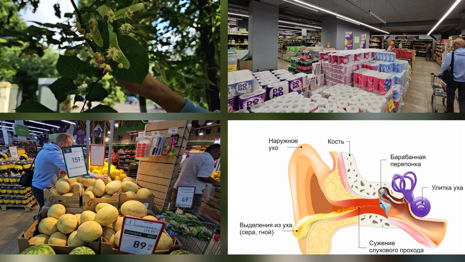 16.06.2025 г Болит ухо/ У меня отит/ Продуктовая закупка смотреть онлайн