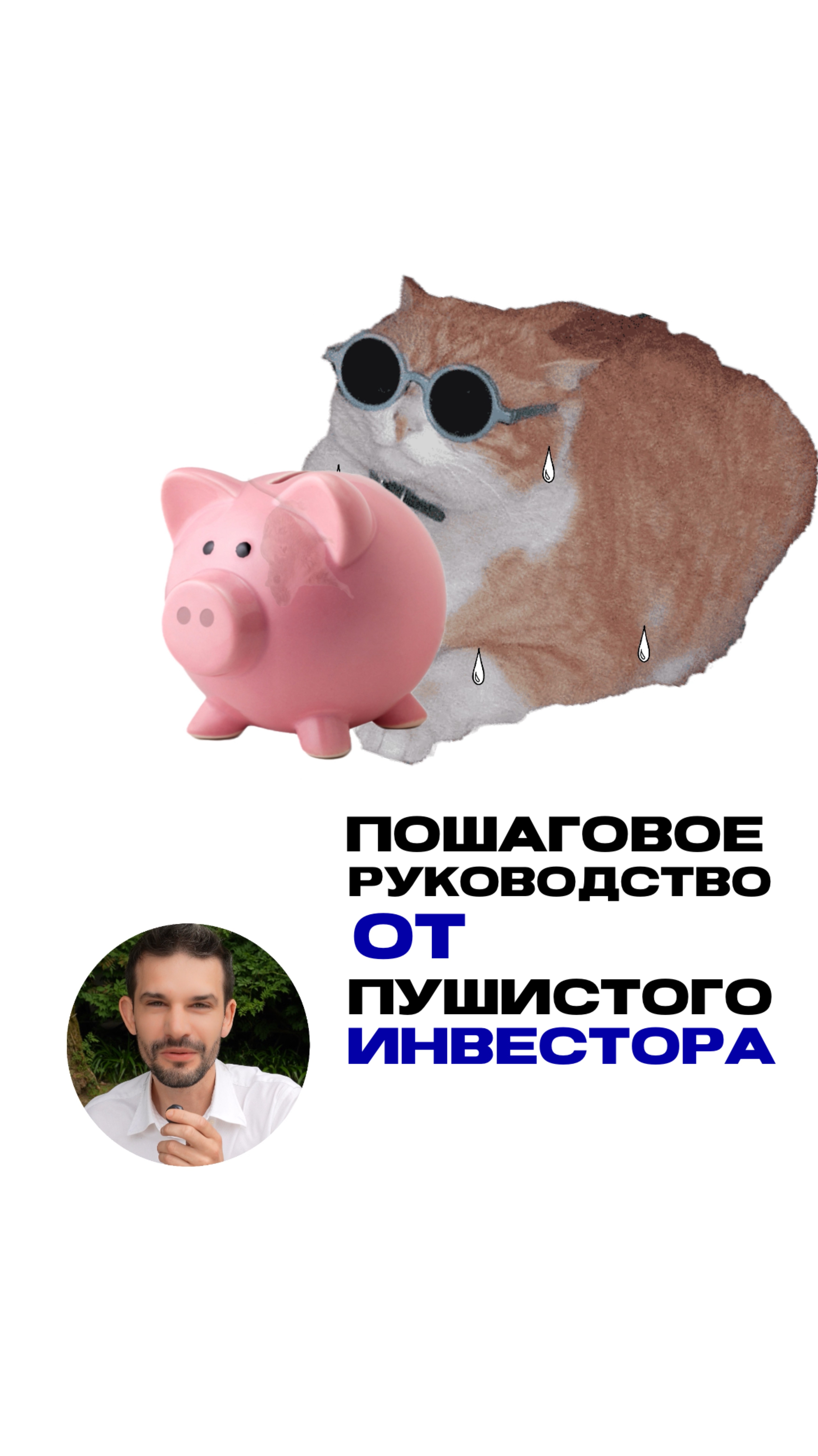 Пошаговое руководство от пушистого инвестора смотреть онлайн