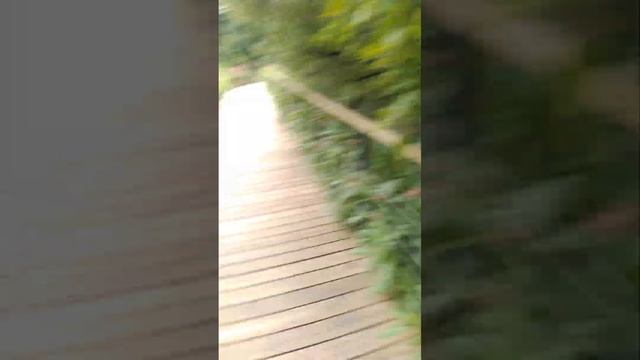 Что это за московская река - Чермянка? Краткая прогулка смотреть онлайн