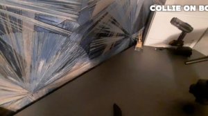 Аккумуляторный пылесос YAN YI.mp4