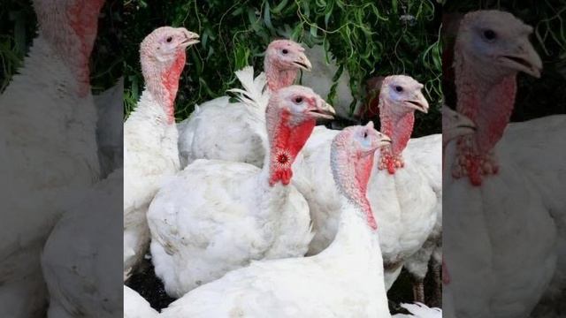 Это интересно-4