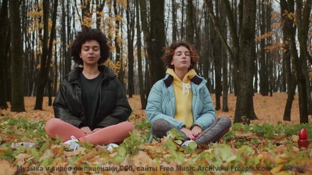 Видео, которое можно полностью понять только в 5D - попробуйте! - La Sequela -- Famous Logs In Histo