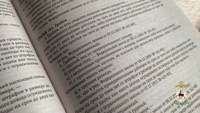 Полицейские раскрыли ограбление магазина в Нижнем Новгороде смотреть онлайн