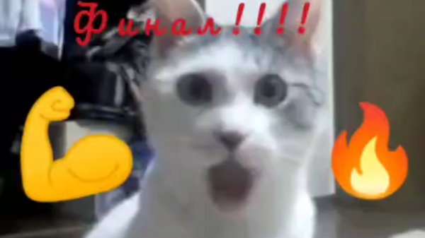 Прохождение Block Tank Wars часть 8!!! Финал!!))))