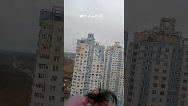 МЫ В ЕКАТЕРИНБУРГЕ С БАСИКАМИ?!влог 4 дня, с подругой