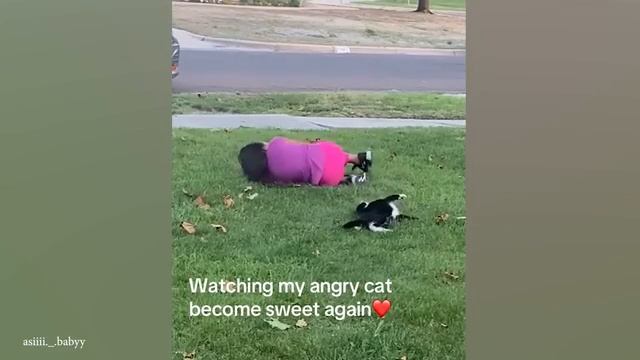 весёлые котики и малыши 🤗😂