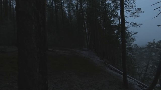 РЫБАК ПРОТИВ ОХОТНИКА | ДОБЫТЬ ЕДУ или БЫТЬ ГОЛОДНЫМ | ЛЕС ПОСЛЕ ПОЖАРА | РЫБАЛКА или ОХОТА смотреть онлайн