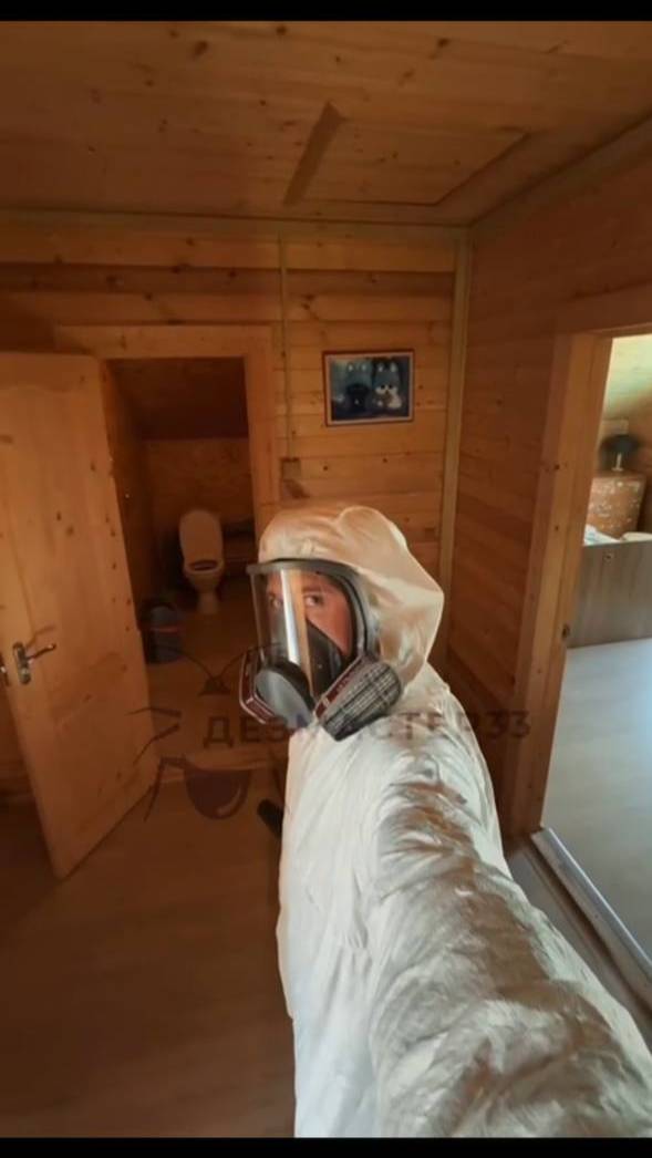 Почему тараканы опасны и как защитить свои дом.