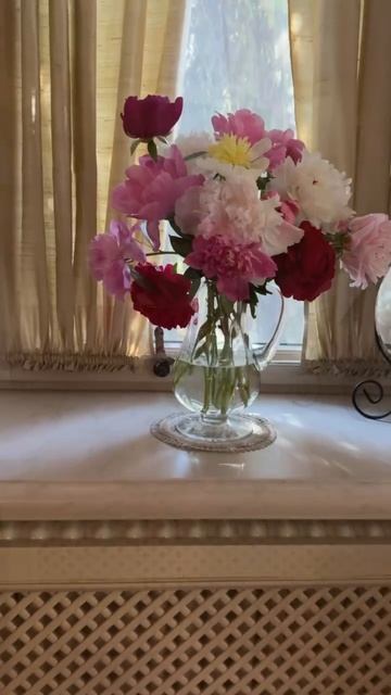 Июнь - время пионов 😍 смотреть онлайн