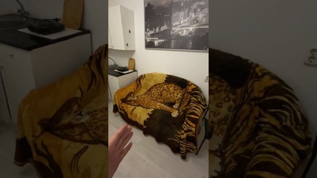 Шувалова 2, студия