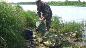 Сам Не ВЕРЮ! КЛЁВ Фантастика! Бешеные Лещи На Короткие Поводки! Рыбалка на Донку Фидер на Оке!
