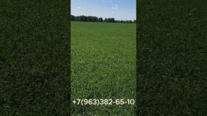 Отзыв из Екатеринбурга работает ротационная борона от завода SKR!