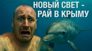 НОВЫЙ СВЕТ - ОТДЫХАЮЩИЕ  ПОЕХАЛИ В КРЫМ. Что ТВОРИТСЯ на ПЛЯЖАХ.