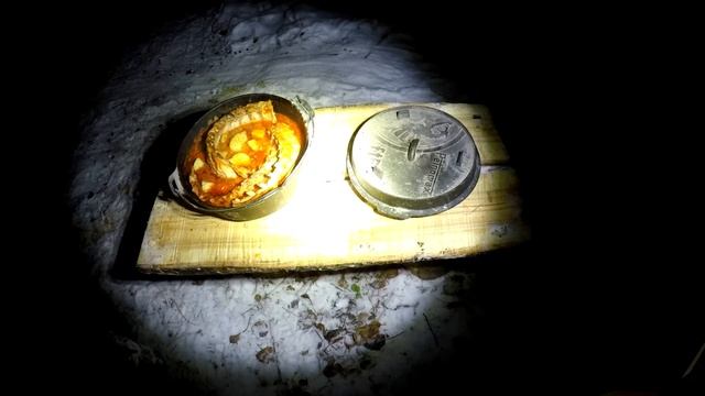 ДОМ ПОД ЗЕМЛЕЙ своими РУКАМИ - ЛИСА на ПОРОГЕ, лесная КУХНЯ, БАНЯ - Строим ЗЕМЛЯНКУ смотреть онлайн