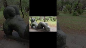 Абхазия Пицунда Прогулка