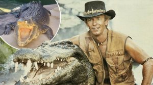 IGGY POP -REAL WILD CHILD_КРОКОДИЛ ДАНДИ