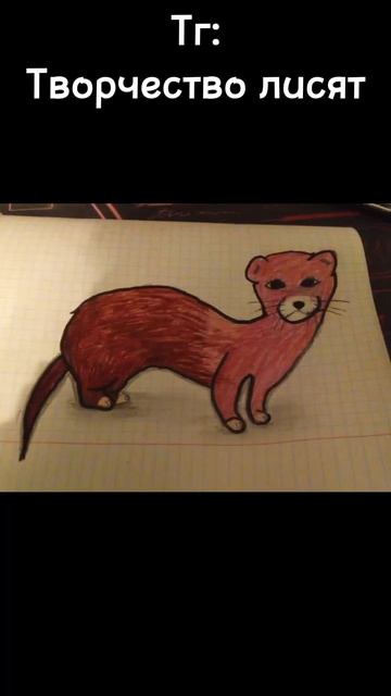 Рисуем Ласку #drawing #рисунок #music #art #арт #рисую #рисование #рек #скетч #diy смотреть онлайн