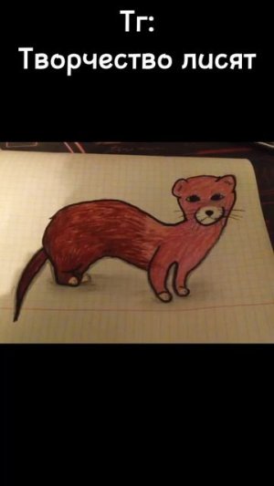 Рисуем Ласку #drawing #рисунок #music #art #арт #рисую #рисование #рек #скетч #diy