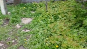 Траншея под водопровод