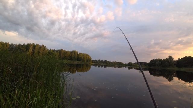 Календарь рыбака на Июнь 2025. Прогноз клева рыбы на Июнь Лунный календарь клева рыбы июнь 2025