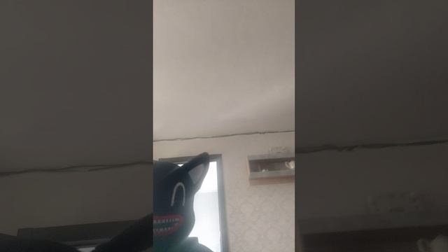 РКН запрещает всё