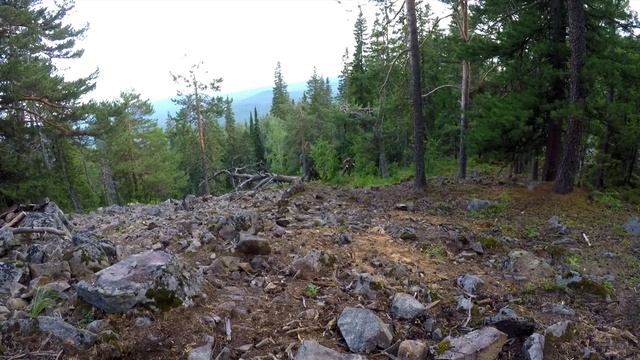 24 ЧАСА в КАМЕННОМ ДОМЕ с РЫЖИМ ЗВЕРЕМ | Строим КАМИН, теплый ПОЛ и кладем СТЕНУ смотреть онлайн