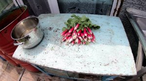 Первый Урожай на Даче !