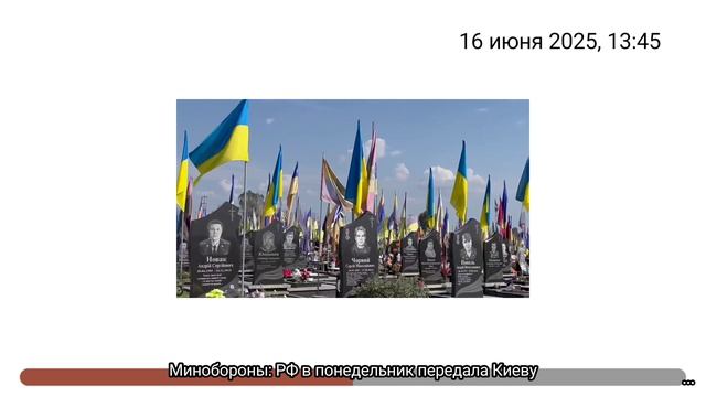 Минобороны РФ в понедельник передала Киеву смотреть онлайн