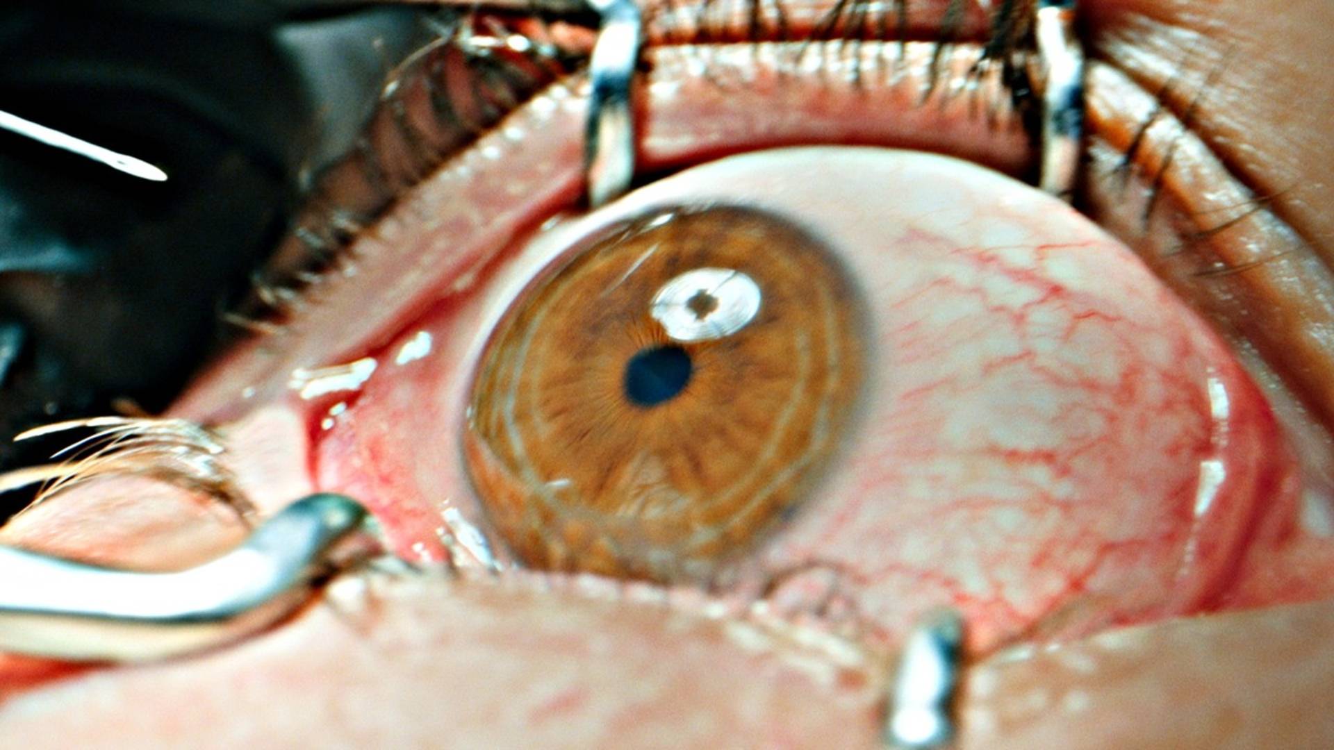 Обитель - Русский трейлер (Дубляж, 2025) Пит Дэвидсон смотреть онлайн