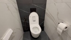 Отзыв пользователя на умный электронный унитаз c функцией биде BRUNNEN WAL BW-2401 Auto open/close