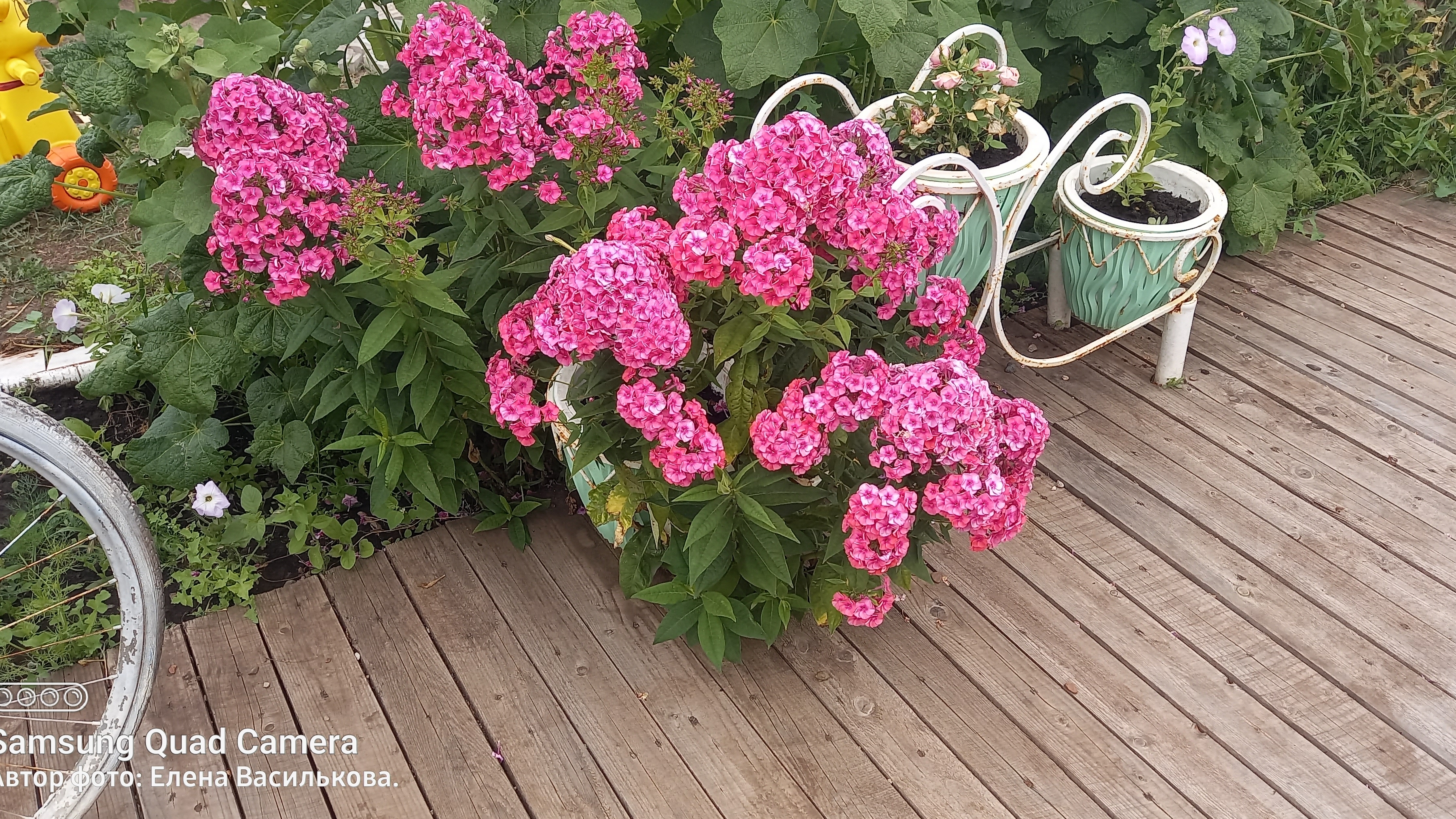 СП Вяжем летом//Приглашение в проект смотреть онлайн