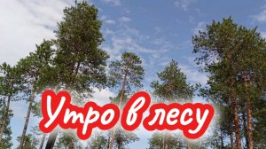 С ДОБРЫМ УТРОМ! Новая песня ДОБРОЕ УТРО!