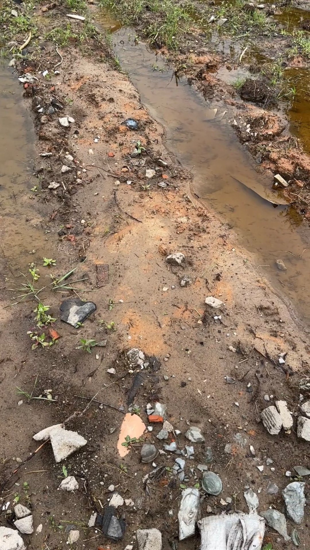 Превратила глину в чернозем за несколько сезонов. Как? смотреть онлайн