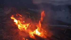 ВЫЖИТЬ БЕЗ ЕДЫ В ДИКОМ ЛЕСУ - МОЙ ОПЫТ | Всего 4 вещи